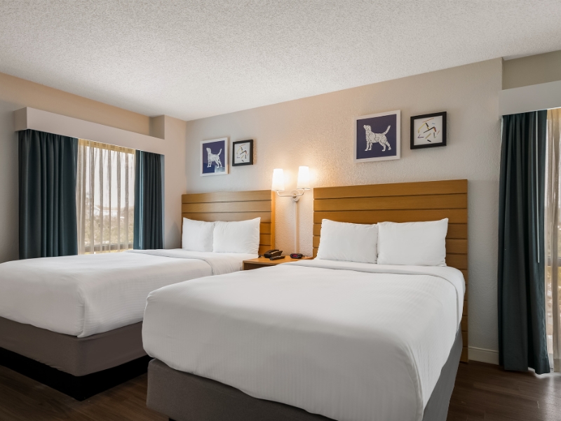 GuestRoom DoubleBed