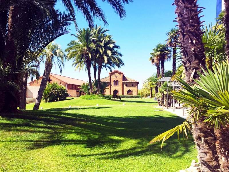 Exterior Garden