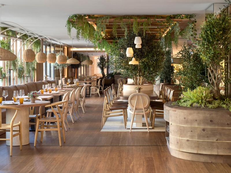 Traca Restaurant