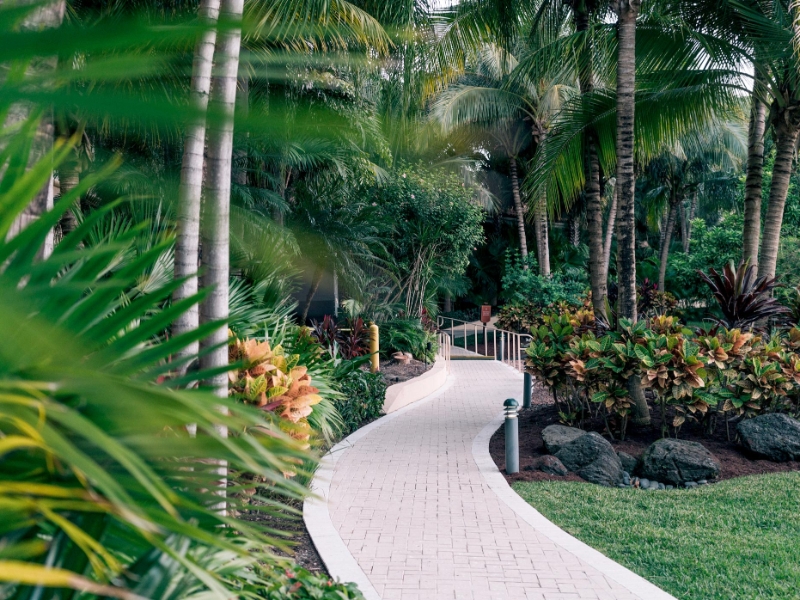 Nature Path