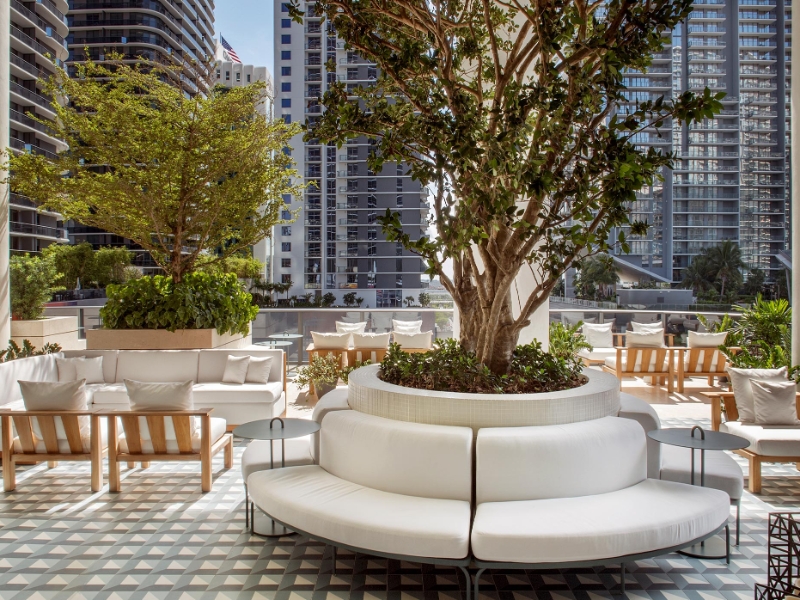 Roof Top Garden