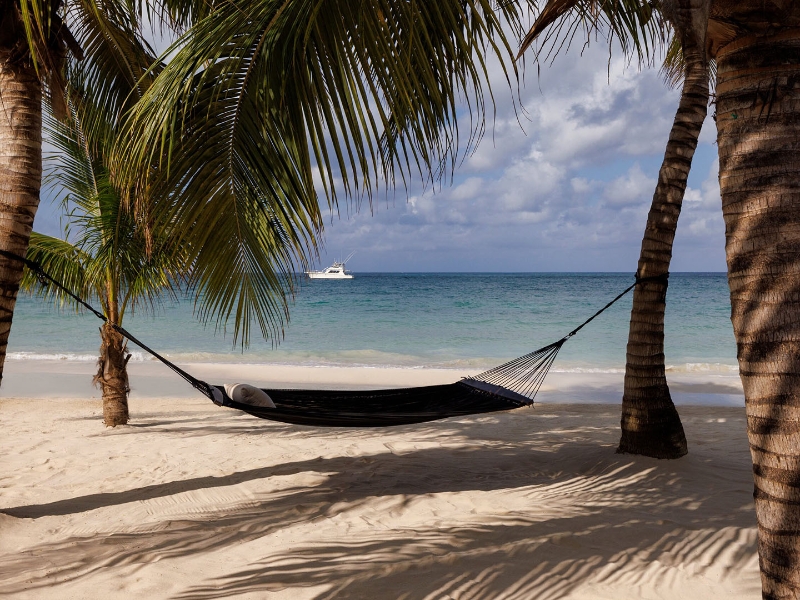 Beach Hammock