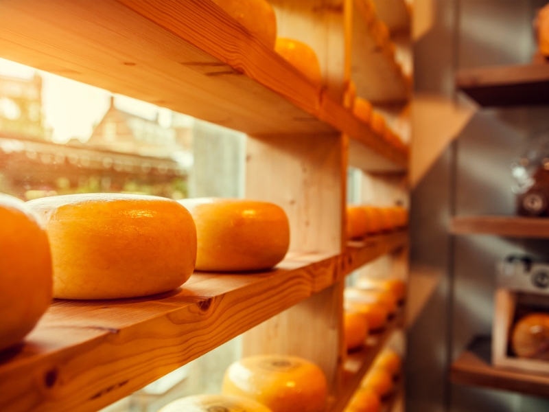 Dutch Cheese Wheels