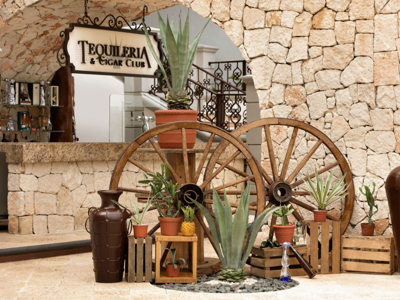 Tequila Tasting
