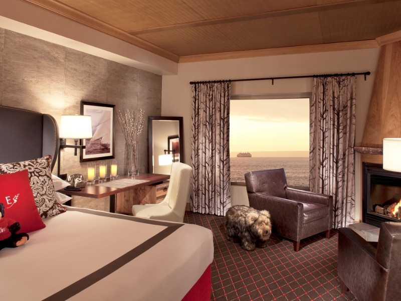 Room Guestroom