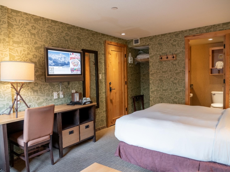 Standard Hotel Room Queen