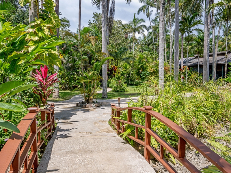 Hotel Grounds