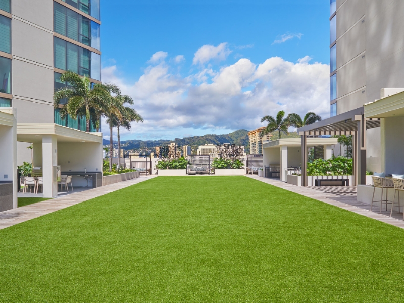 Lawn