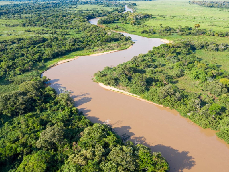 River Cuiaba Pantanal