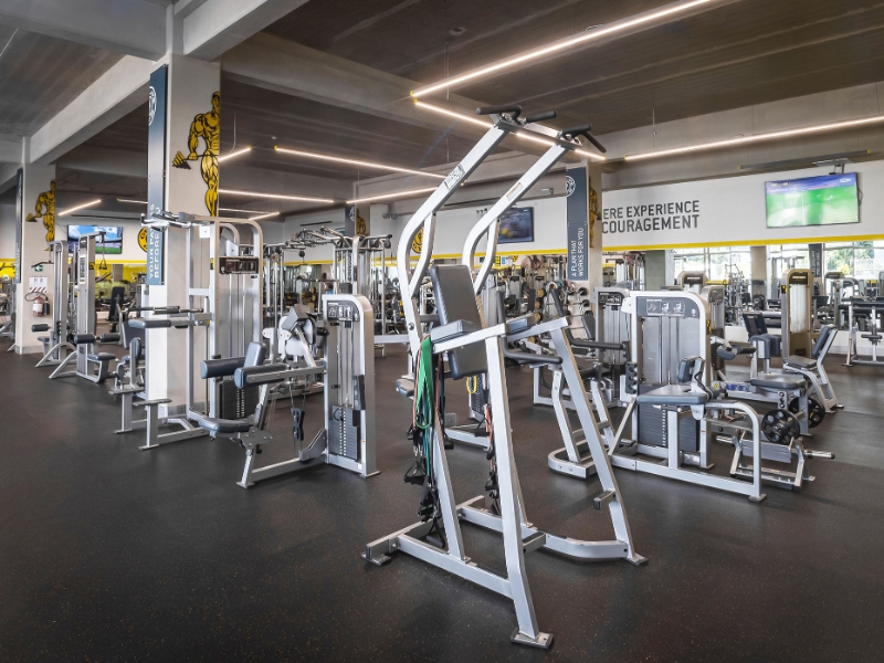 Gym 01