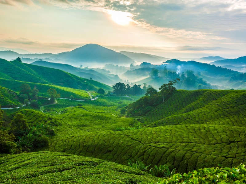 Malaysian Highlands and Heritage