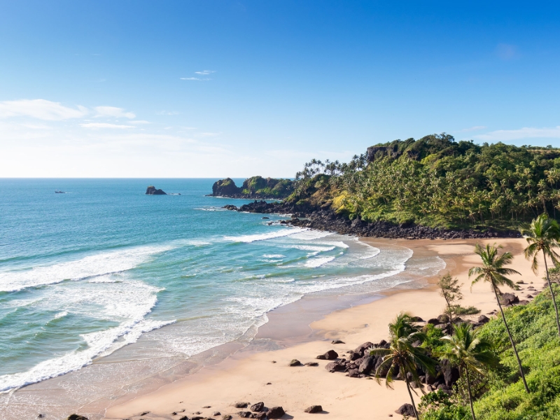 Sun, Surf & Sea