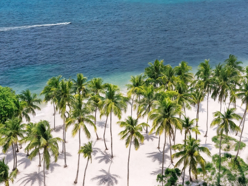 Beach Aerial