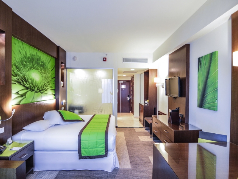 Deluxe King Room