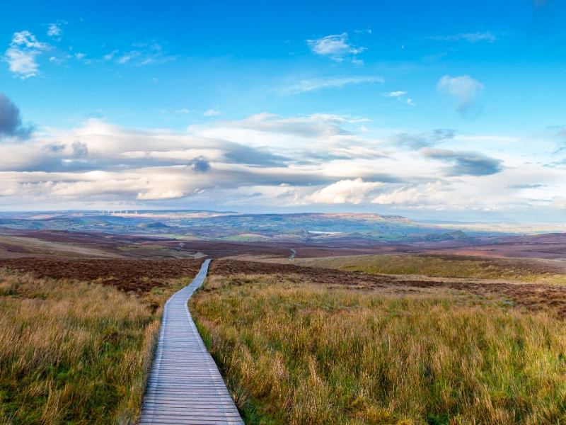 Fermanagh