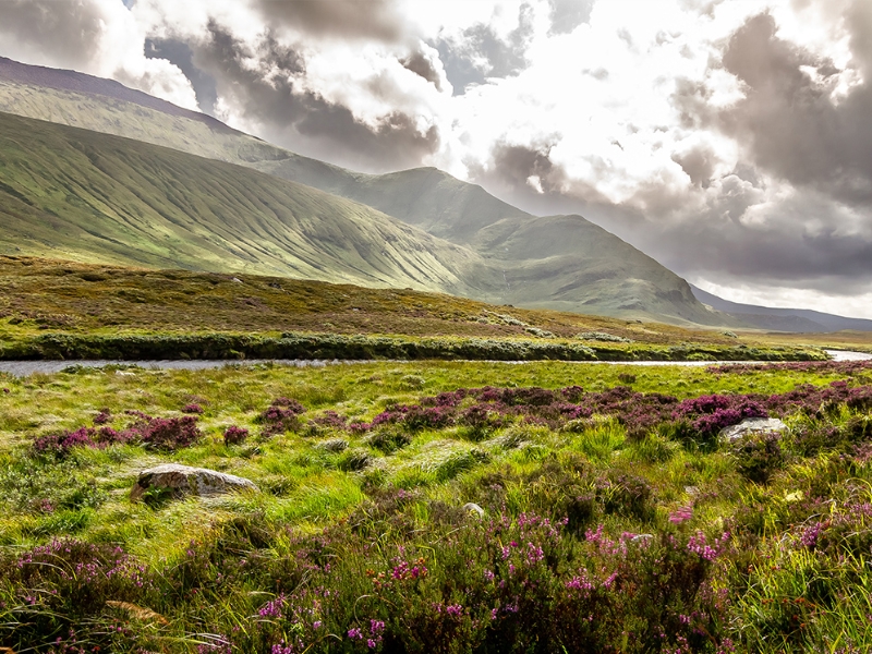 Highlands