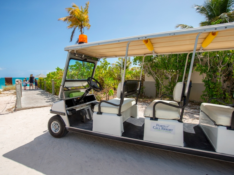 Beach Transportation