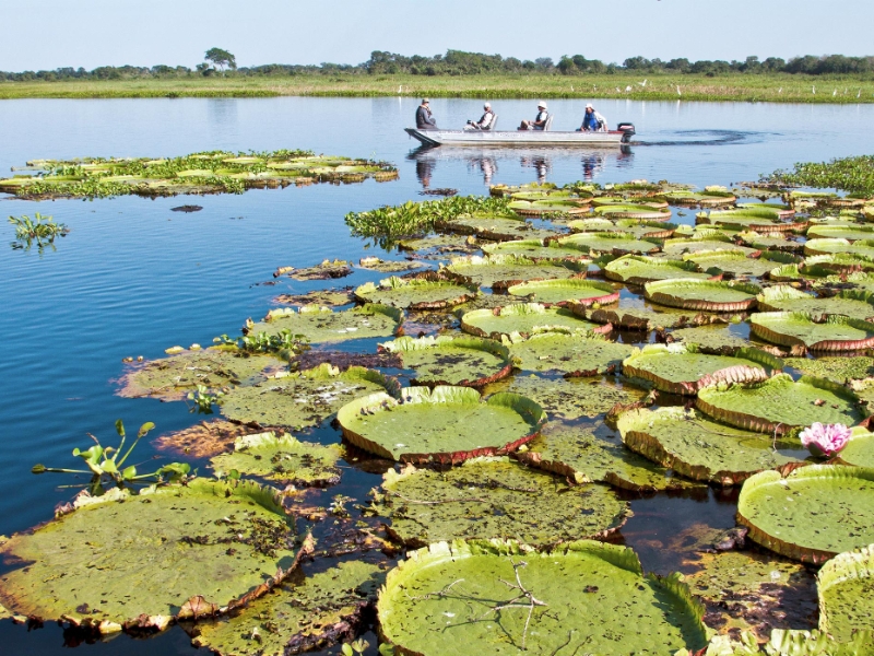 Boating in Pantanal