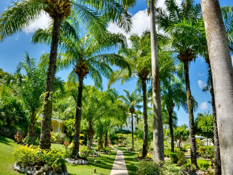 Walkway