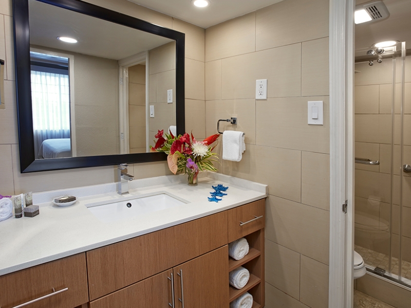 One Bedroom Suite Bathroom
