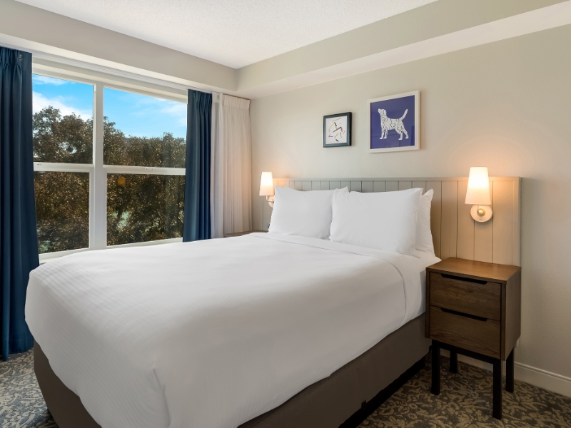 One Bedroom Suite