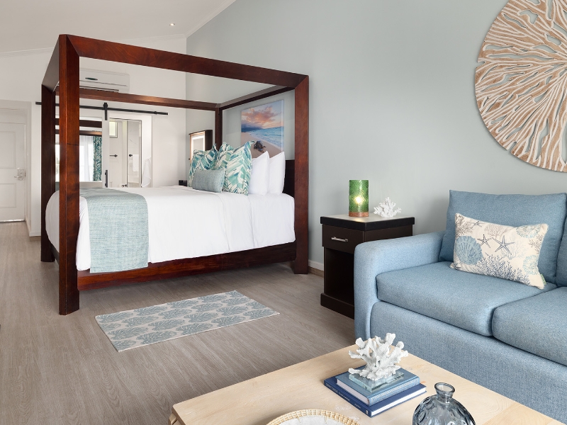 Harmony Concierge Jr Suite