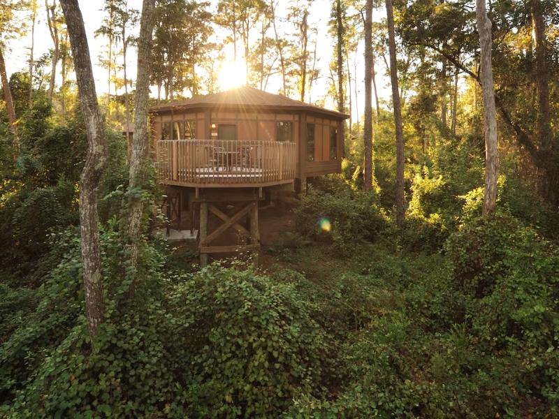 Treehouse
