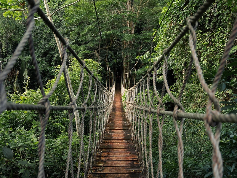 Rope Bridge