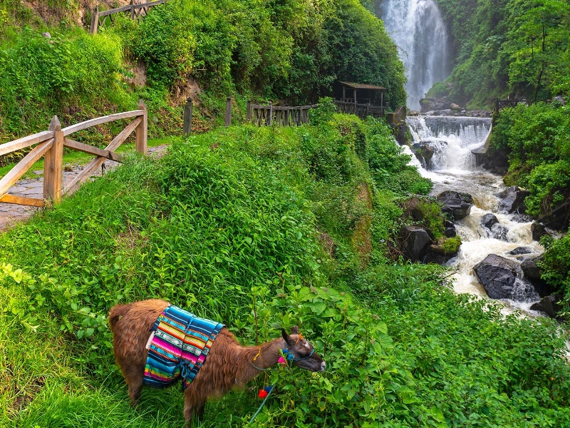 Peguche Waterfall