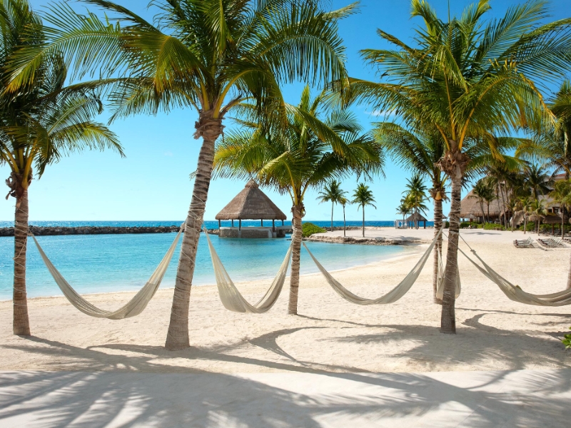 Beach Hammocks