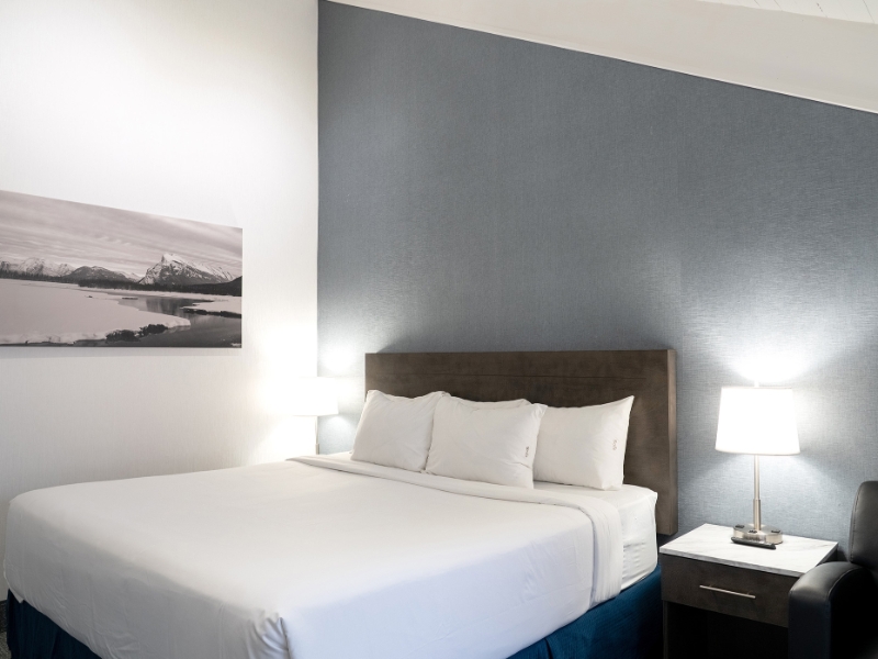 2Bedroom Suite 1King 1Queen