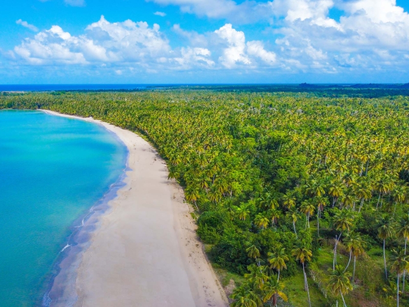 Beach Aerial