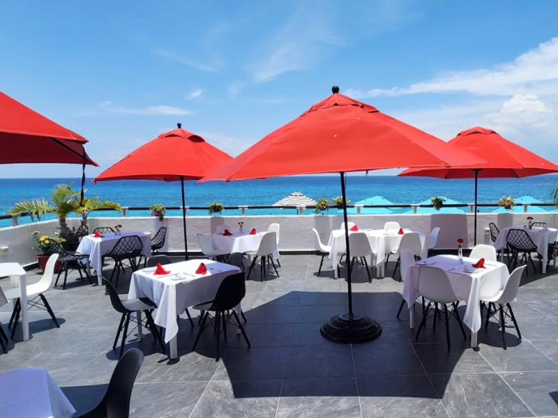 Amaryllis Terrasse