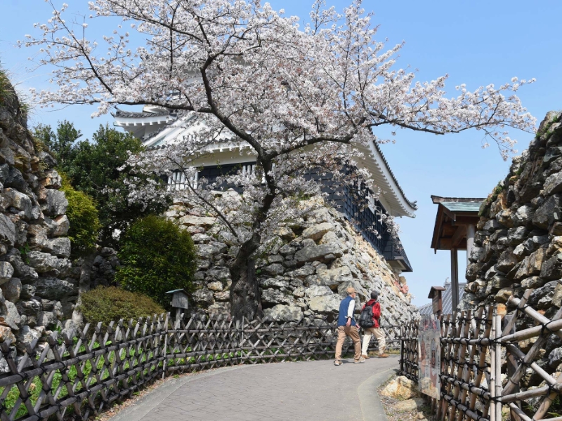Hamamatsu