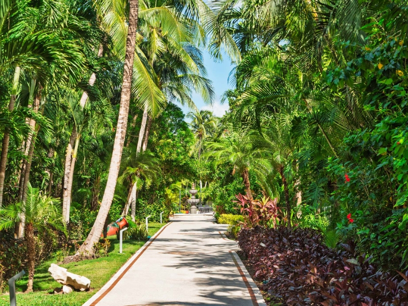 Pathway
