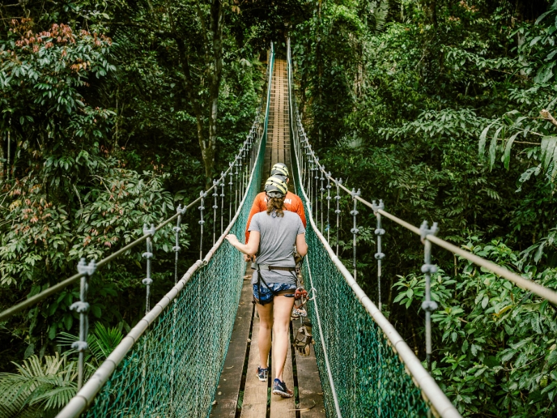 Bridge