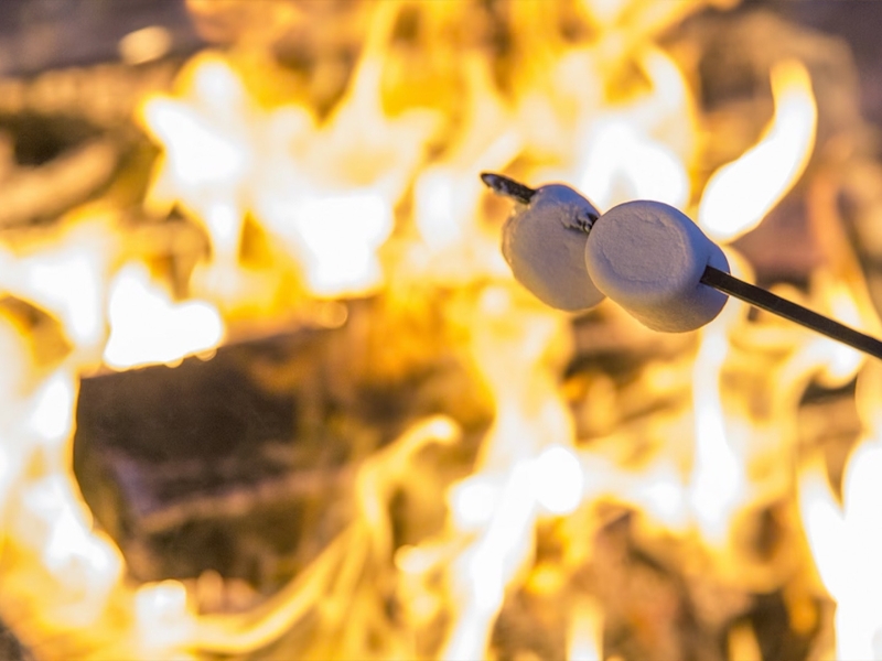 Campfire
