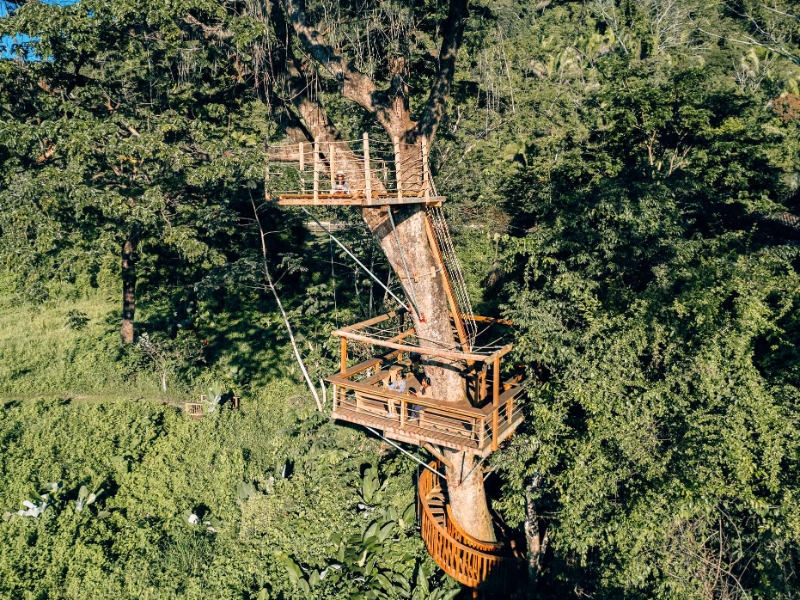 The Nest
