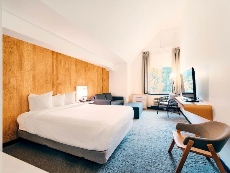 Deluxe Studio Queen bed and Sofa bed