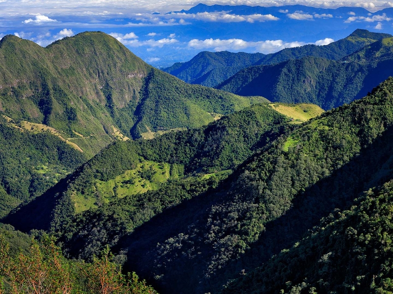 Yanacocha Reserve