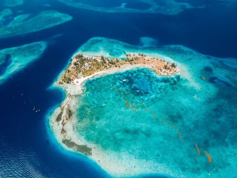 Rhythm Reef Experience