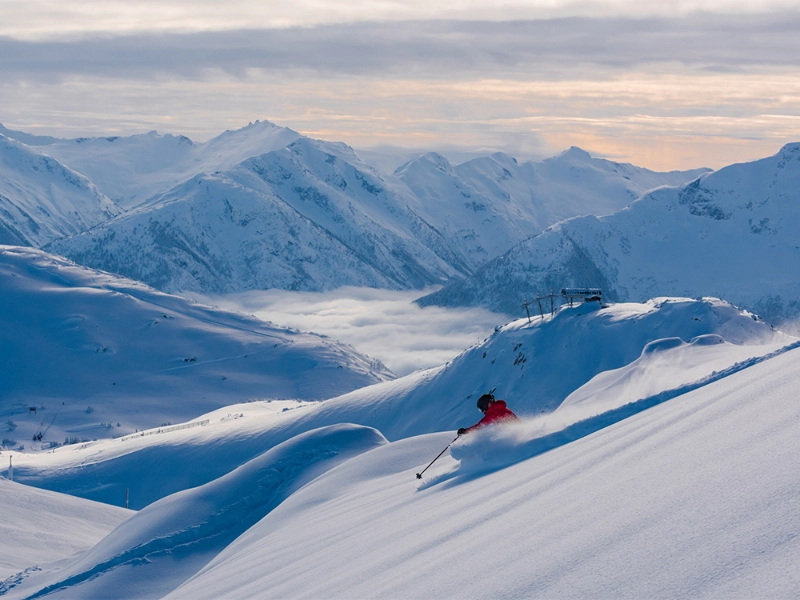 Skier