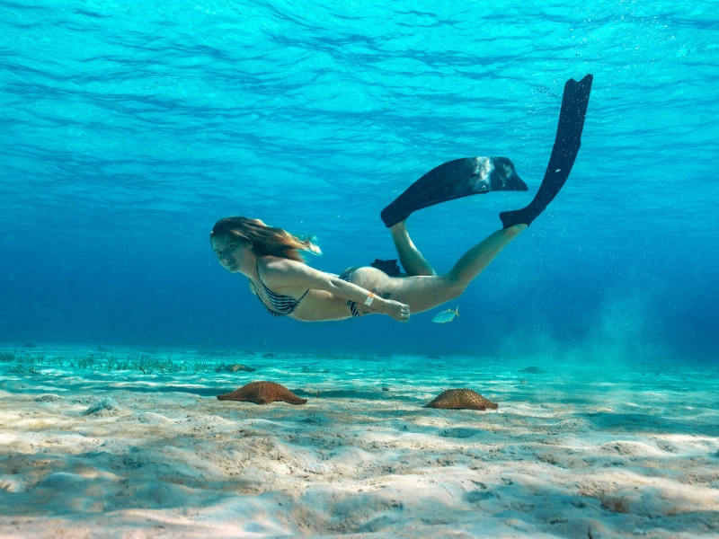 Snorkeling