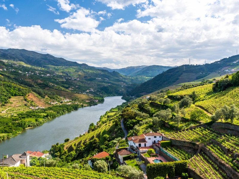 Douro Valley