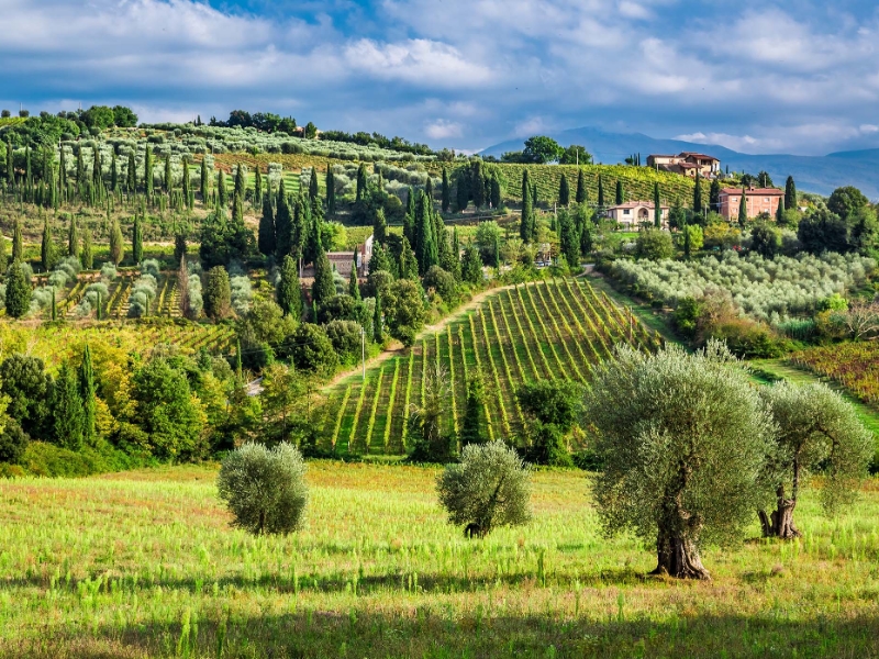 Village Tuscany