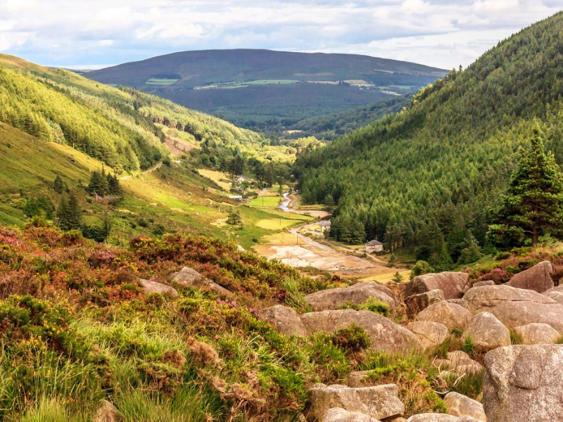 Wicklow Mountains