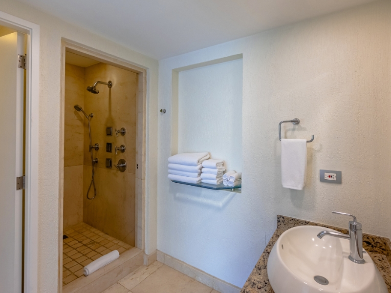 Suite bathroom 02