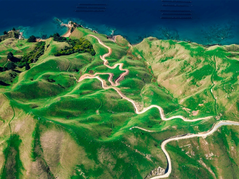 New Zealand