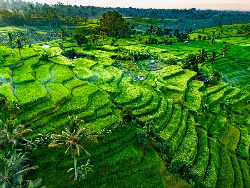 Jatiluwih Village