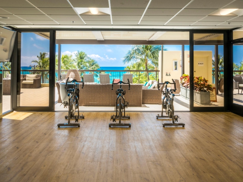 Exercise Bikes